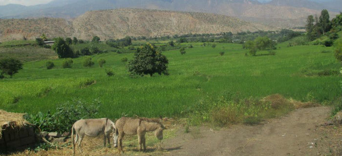 Peru